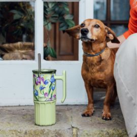 QUOKKA ΚΟΥΠΑ ΘΕΡΜΟΣ ΑΝΟΞΕΙΔΩΤΟ BPA FREE 720ML GREEN TEA ΜΕ ΚΑΛΑΜΑΚΙ ΚΑΙ ΛΑΒΗ
