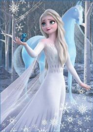 PUZZLE FROZEN II 2D 1000 ΚΟΜΜΑΤΙΑ