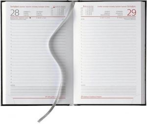 ΘΕΟΦΥΛΑΚΤΟΣ SIDNEY CLASSIC ΗΜΕΡΗΣΙΑ ΑΤΖΕΝΤΑ 2027 ΠΕΤΡΟΛ 17X24ΕΚ. ΚΩΔΙΚΟΣ: 68620.C64 