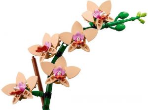 LEGO BOTANICAL COLLECTION MINI ORCHID ΓΙΑ 18+ ΕΤΩΝ 274ΤΜΧ 10343 